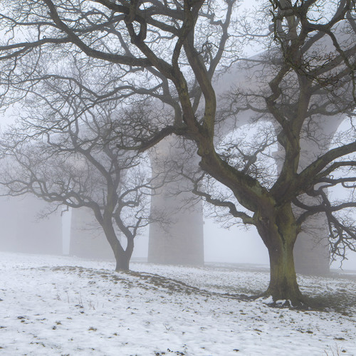Crimple Valley Snow: 