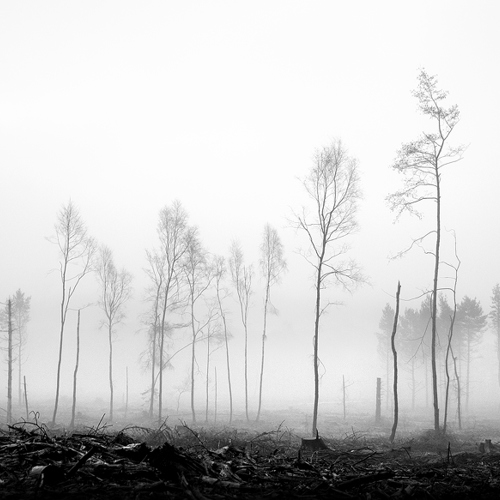 Destruction: Destruction