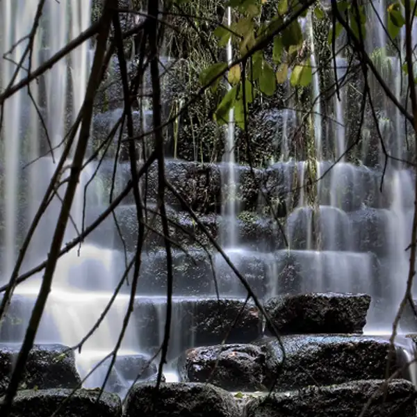 A constant flow of sound