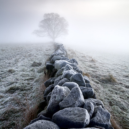 Winter Morning (1): Winter Morning