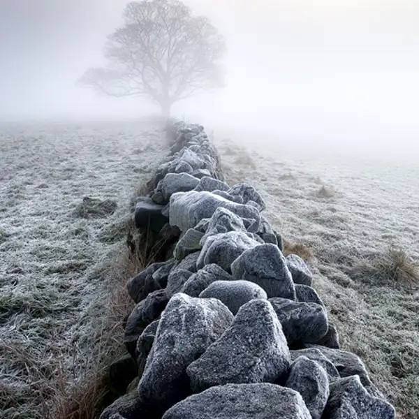 Winter Morning (1)