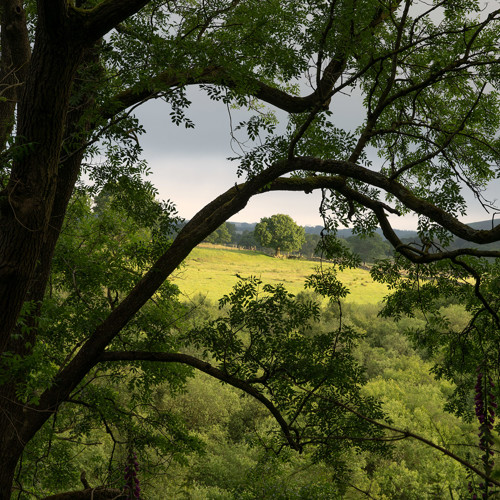 Swinsty wander: 