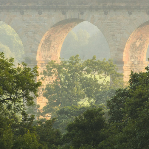 Crimple viaduct and fields: The distant Crimple Viaduct through trees
