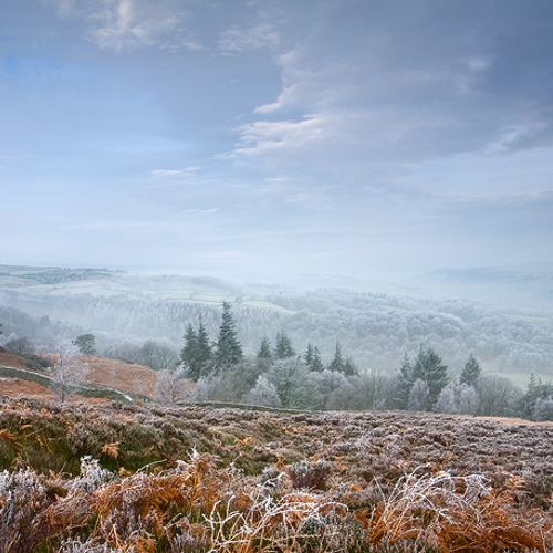 Winter View: Winter View