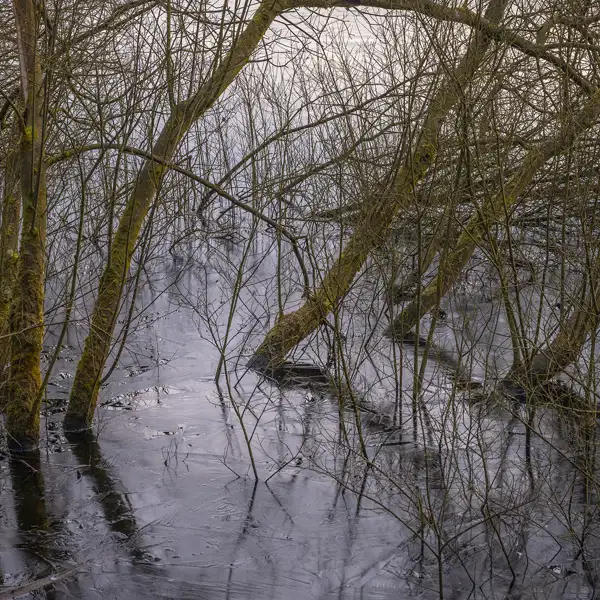 Thruscross ice