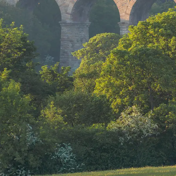 Crimple Valley in May
