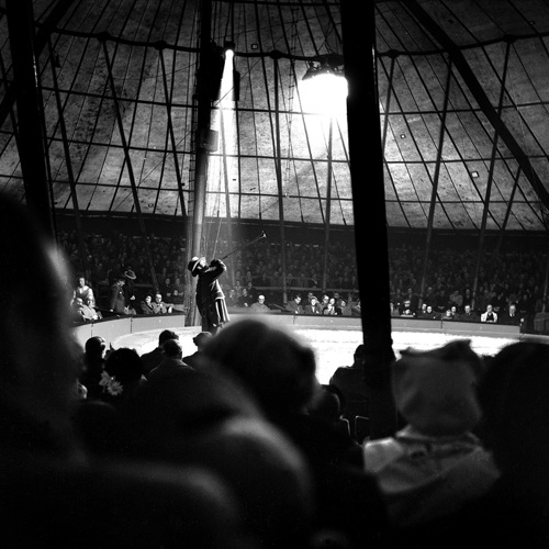 The circus: The circus