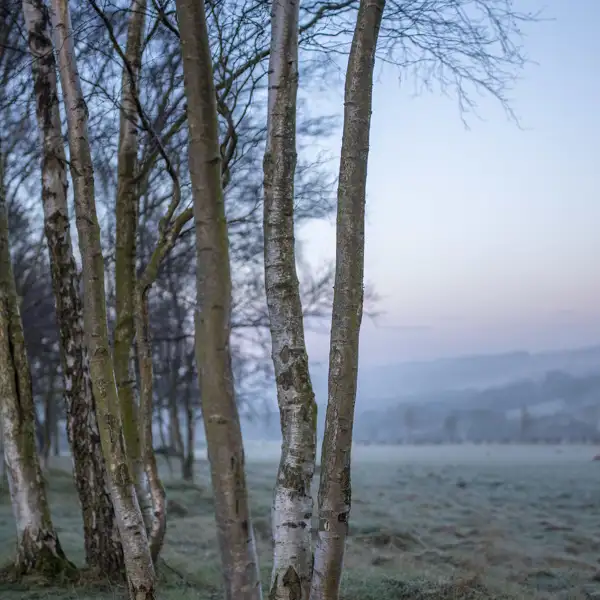 Cold March morning