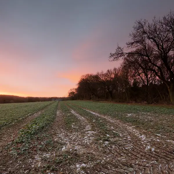 Vivid Winter sunrise