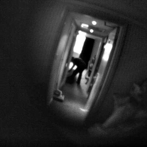 untitled (1) (1): untitled