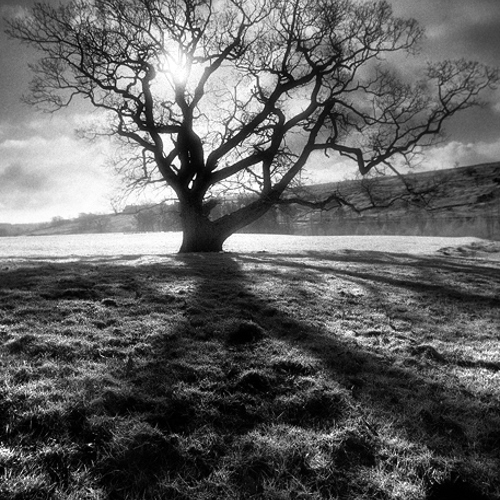 Solitary soul: Solitary soul