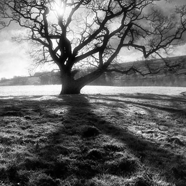 Solitary soul