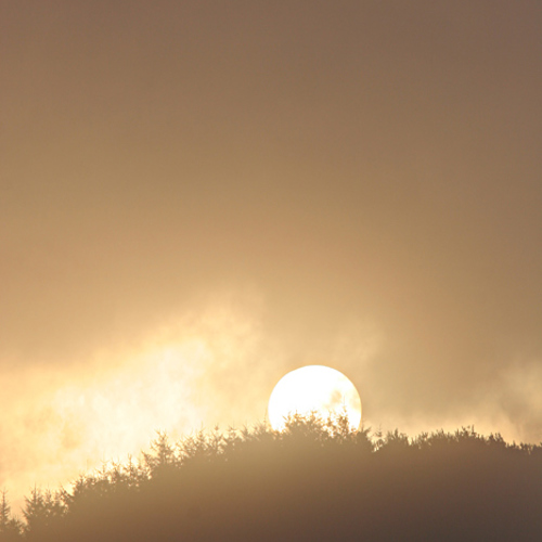 Sunrise, Thruscross: Sunrise, Thruscross