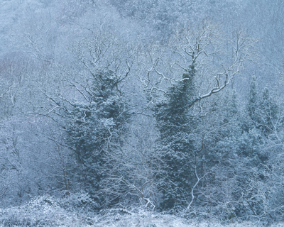 Crimple Valley Snow (1)