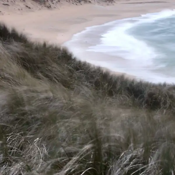 Scarasta Bay (3)