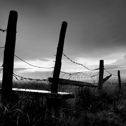 A brief walk: A brief walk