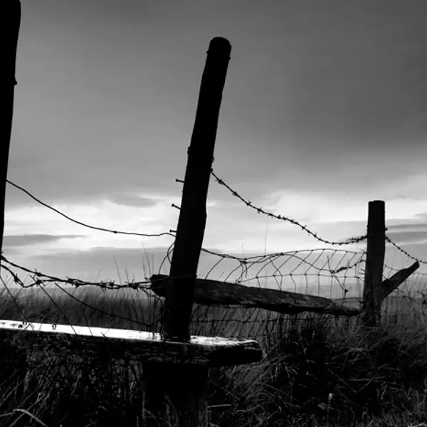 A brief walk
