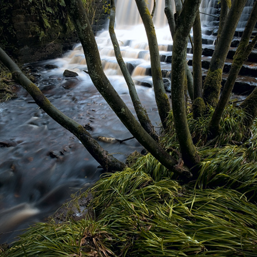 River Washburn: River Washburn