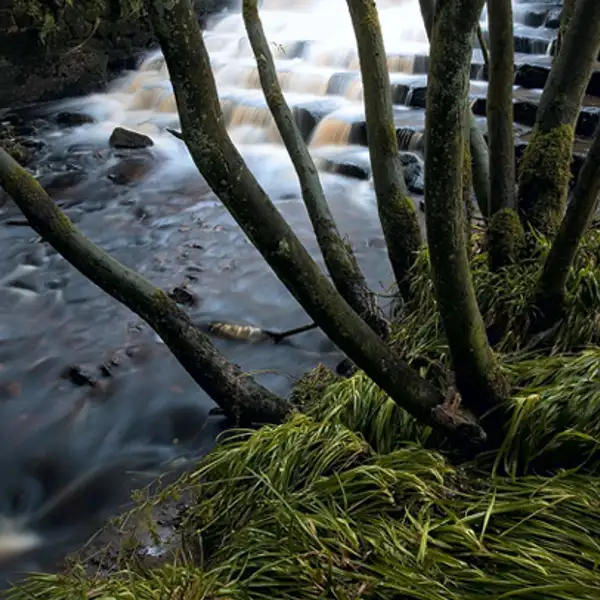 River Washburn