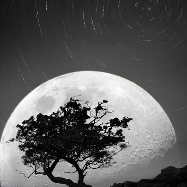Dancing with the moonlight night