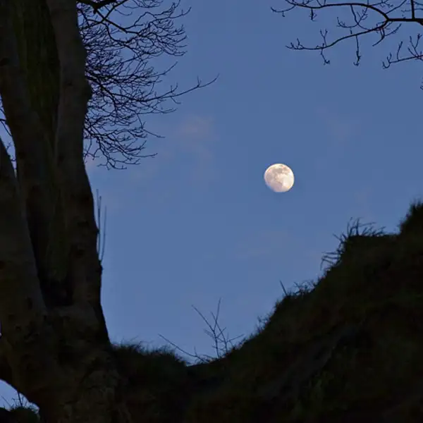 The moon, Harlow Carr