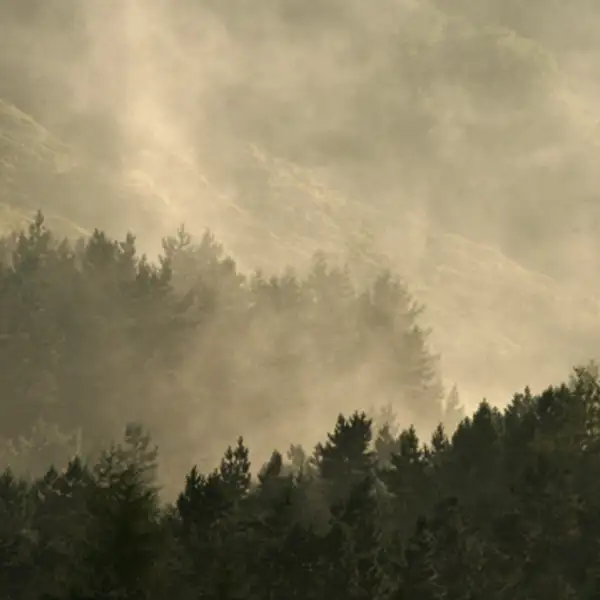 Ogden, after the storm