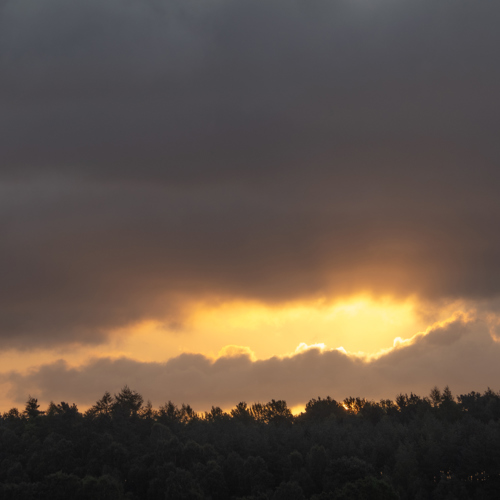 Early Morning Skies: 