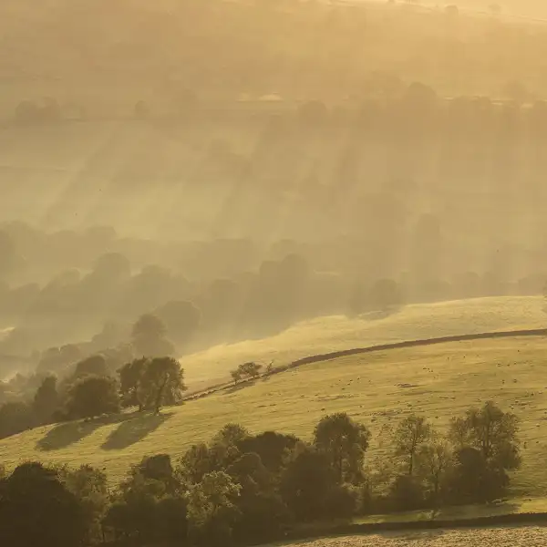 Misty summer dawn