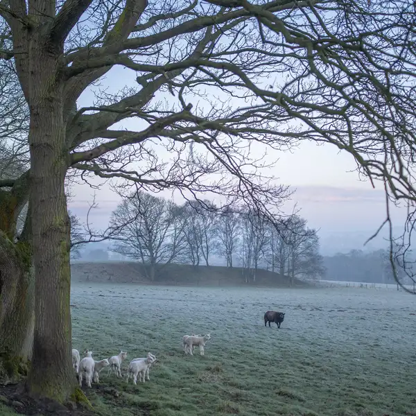 Cold March morning
