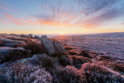 Moorland frost at dawn