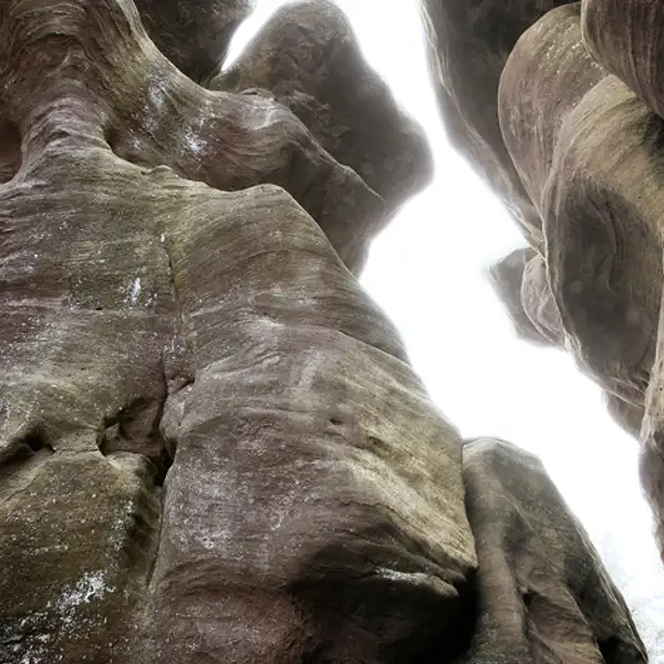 Brimham rocks