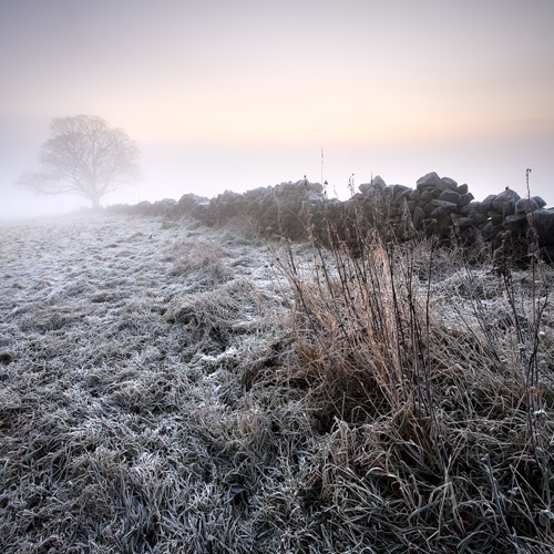 Winter Morning II: Winter Morning II