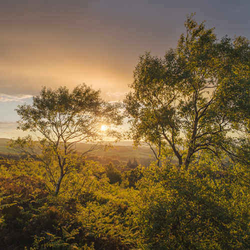 Summer Sunset Skies: 