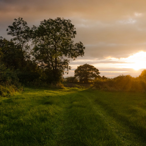 Wander in the valley: 