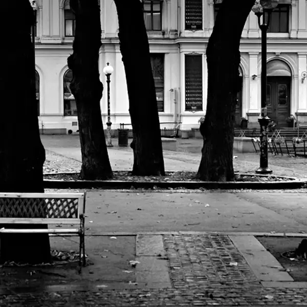 Lost in Oslo