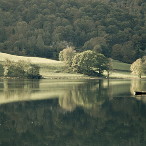 Tranquil Scene: Tranquil Scene
