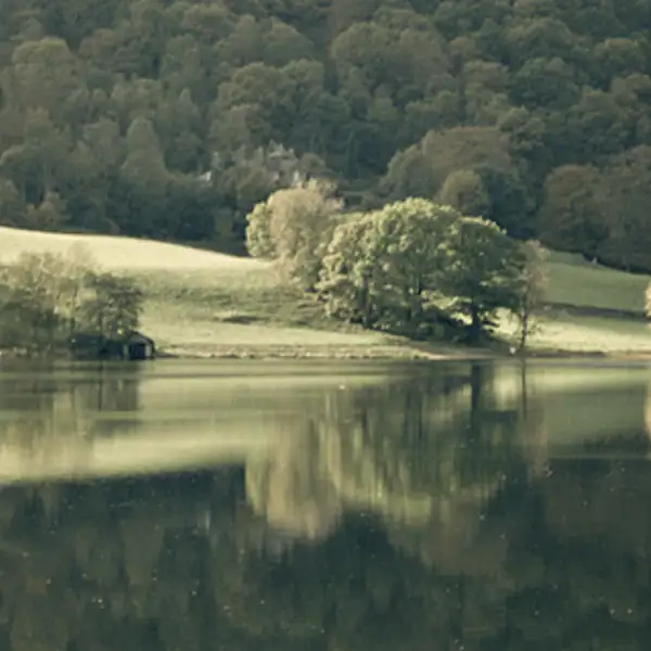 Tranquil Scene