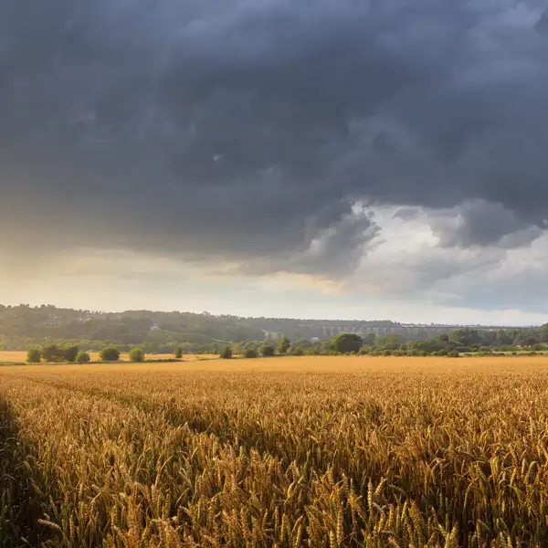 Storm over Crimple Valley