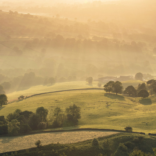 Misty summer dawn: 