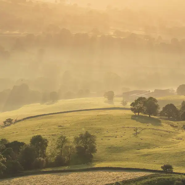 Misty summer dawn