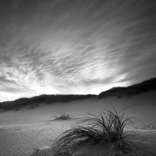Untitled Dunescape 2: Untitled Dunescape 2