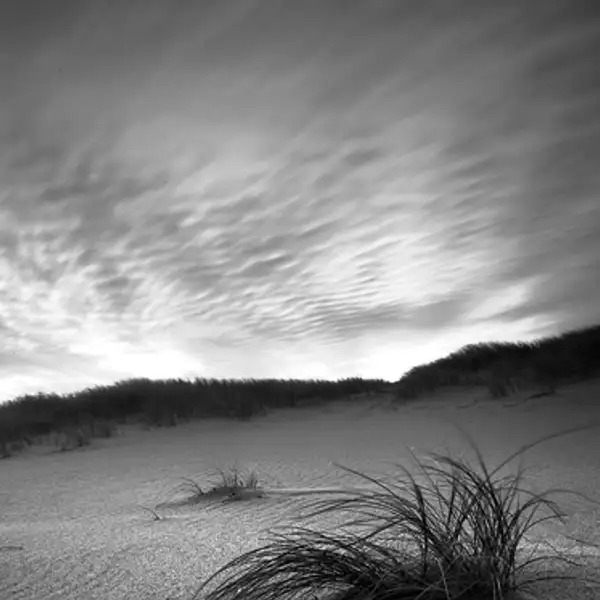 Untitled Dunescape 2
