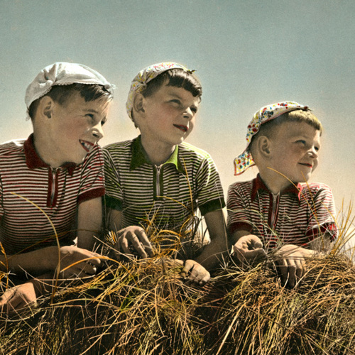 Summer Holiday: Summer Holiday