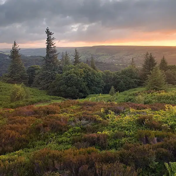 Pateley Bridge at dawn