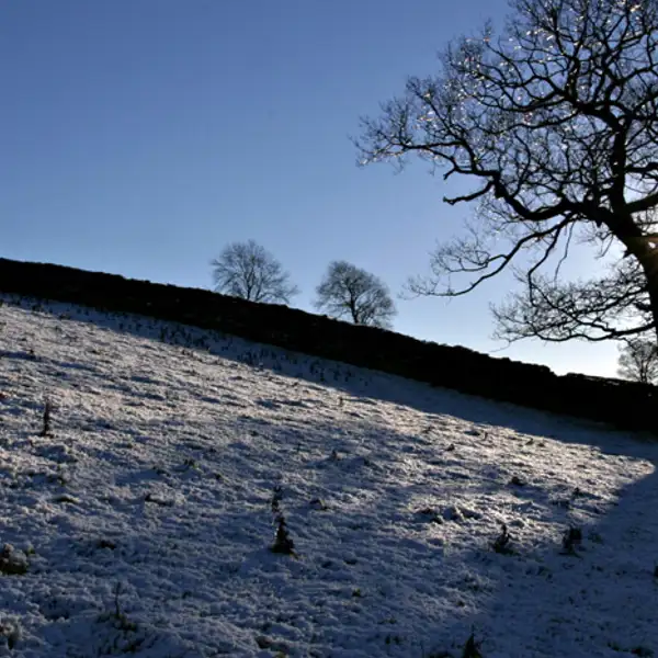 Snowy day at Thruscross