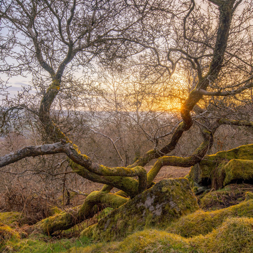 Cold April dawn: 