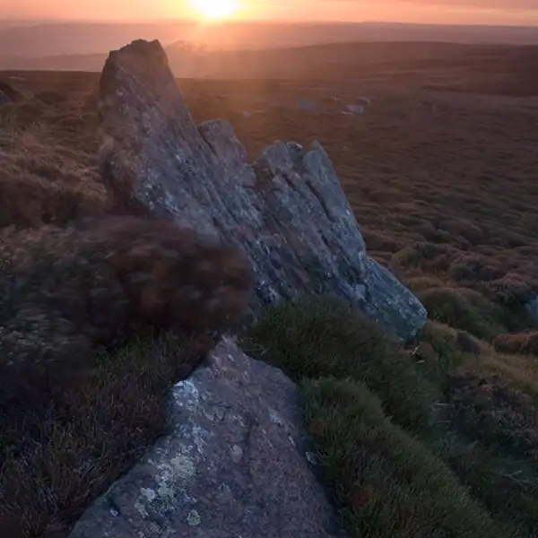 Hayshaw moor at dawn