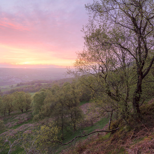 Red sky in the morning: 
