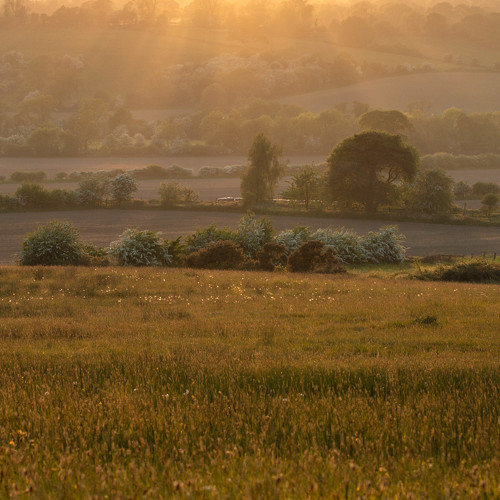 Crimple Valley in May: 
