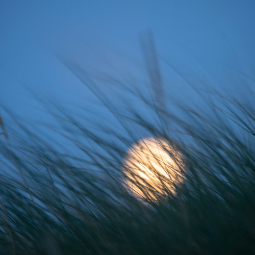 Moon: 